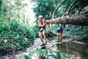 BIB: 
                            <button type="button" onclick="openModal(25435085)" class="btn btn-primary btn-sm float-right btn-popup" data-toggle="modal" data-target=".modal-high-quality">
                        <i class="fas fa-shopping-cart"></i> Add to Cart
                    </button>
                                            <button type="button" onclick="isThisMe(25435085, true)" class="btn btn-success btn-sm float-right btn-popup btn-isme hidden" data-toggle="tooltip" data-placement="bottom" title="นี่คือรูปของคุณใช่ไหม คลิกที่นี่เพื่อเอาเข้าอัลบั้ม">
                        <i class="fas fa-plus"></i> Add to album
                    </button>
                    <button type="button" onclick="isThisMe(25435085, false)" class="btn btn-warning btn-sm float-right btn-popup btn-isnotme hidden">
                        <i class="fas fa-ban"></i> Remove from album
                    </button>